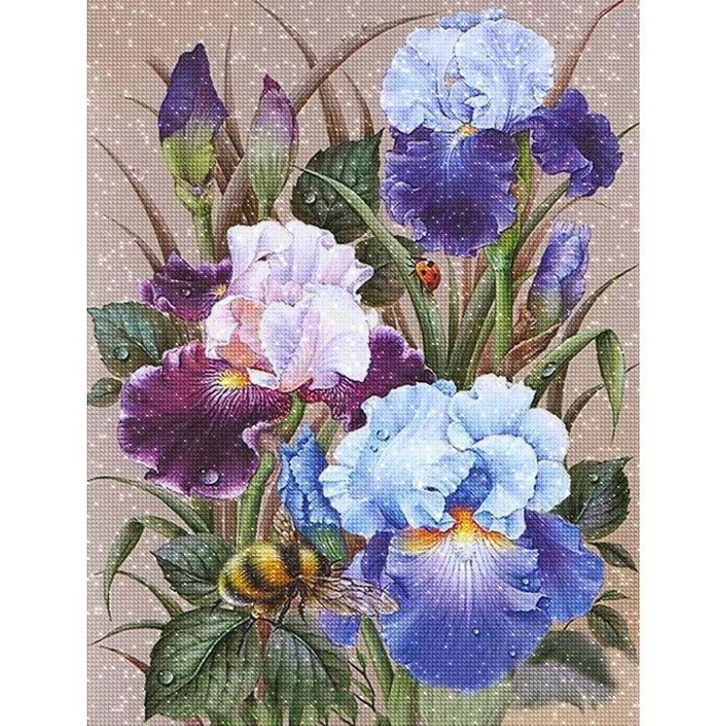 Beautiful Iris - Painted Memory