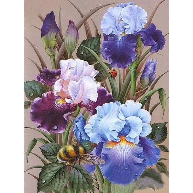 Beautiful Iris - Painted Memory