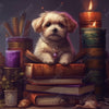 Bookworm Puppy - Painted Memory