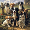 Load image into Gallery viewer, Farmhouse Fur Friends - Diamond Kit - Painted Memory