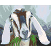 Goat - Painting By Numbers - Painted Memory