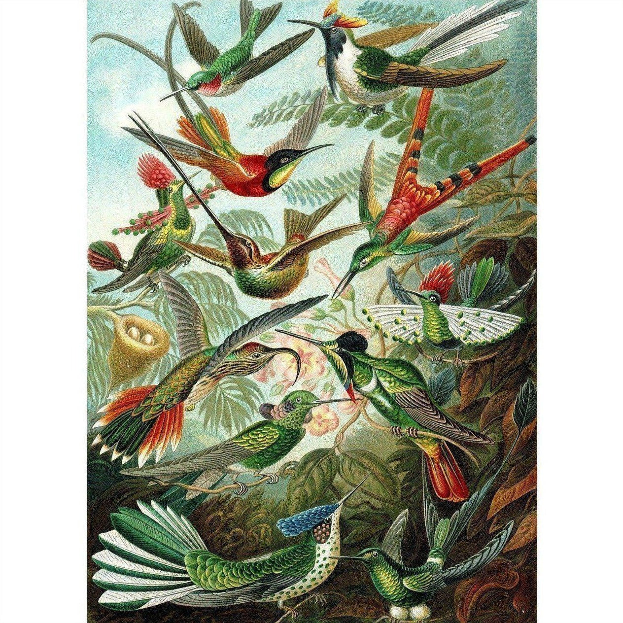 Hummingbird Sanctuary - Painted Memory