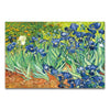 Irises - Vincent Van Gogh - Painted Memory