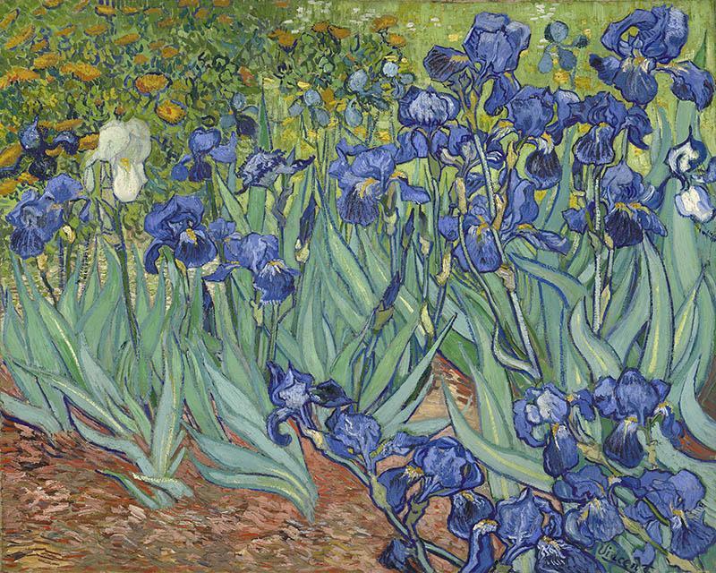 Van Gogh - Irises - Painted Memory