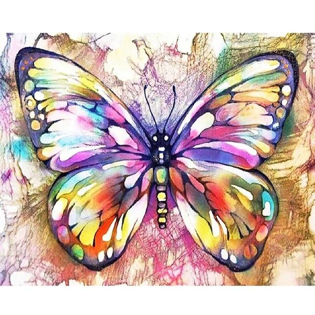 Vibrant Butterfly - Painted Memory